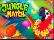 Jungle Match