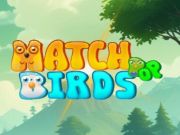 Match Pop Birds