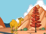 Tribe Sandy Escape