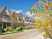 Street Hidden Objects