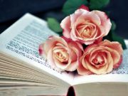 Book of Blooms Jigsaw