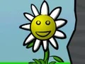 Flower Power — free online game