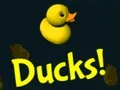 Ducks! — free online game