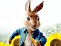 Spil Peter Rabbit Maze Mischief online
