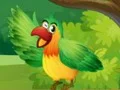 Find Birds Names — free online game
