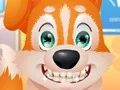 Cute Puppy Dentist — free online game
