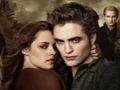 Twilight Jigsaw Puzzle Collection — free online game