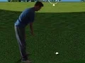 Flash Golf 3D — free online game
