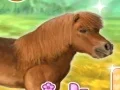 My Dear Pony — free online game