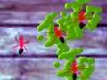 Smash Ants — free online game