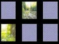Nature Memory — free online game
