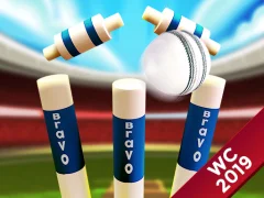 Mini Cricket: Ground Championship World Cup 2019 — free online game