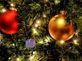 Find The Child Toy — free online game