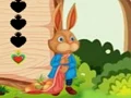 Squirrel Escape — free online game