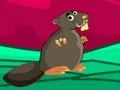 Tortoise Shield Escape — free online game