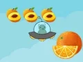 Fruit Hunt! — free online game