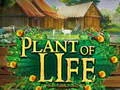 Plant of Life — free online game