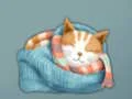 Adorable Escape Find Cute Kitten — free online game