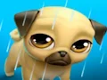 My Virtual Pet Louie the Pug — free online game