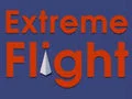Extreme Flight — free online game