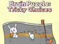 Игра Brain Puzzle: Tricky Choices онлајн