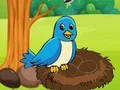 Assist to Mother Bird — free online game
