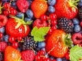 Berries Bonanza Jigsaw — joc online gratuit
