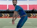 Cricket Powerplay — free online game