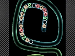 TD Neon Shoot — free online game