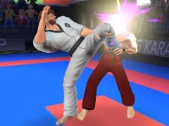 Karate Fighter — free online game