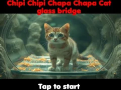 Chipi Chipi Chapa Chapa Cat Glass Bridge — jogo online grátis