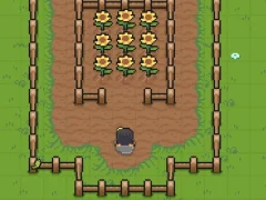 Charlotte Valley — free online game