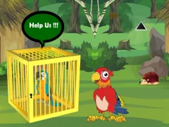 Release Trapped Macaw Buddy — free online game