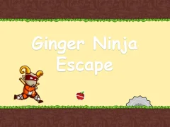 Ginger Ninja Escape — free online game
