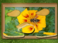 Spil Find & Restore: Hidden Puzzle online