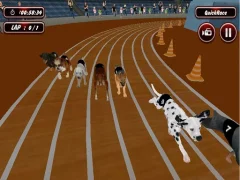 Crazyl Dog Racing Fever — free online game