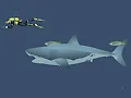 Mad Shark — free online game