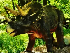 Triceratops Dinosaur Puzzle — joc online gratuit