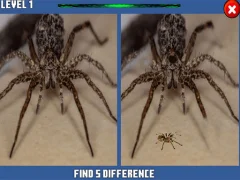 Spider Hidden Difference — free online game
