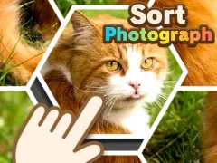 Sort Photograph — free online game