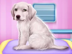 Labrador at the doctor salon — free online game