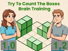 Mchezo Try To Count The Boxes Brain Training online