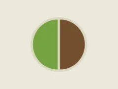 Ball Catcher — free online game