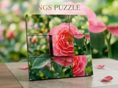 NGS Puzzle — لعبة مجانية اون لاين
