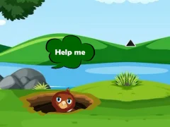 Help Injured Bird Fallen Down — free online game