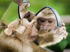 Chimpanzee Jigsaw — nemokamas žaidimas internete