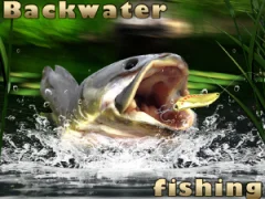 Backwater Fishing — free online game