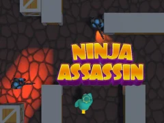 Ninja Assassin — free online game