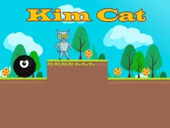 Kim Cat — free online game