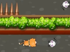 Spel Cat Trap Labyrinth Escape på nätet